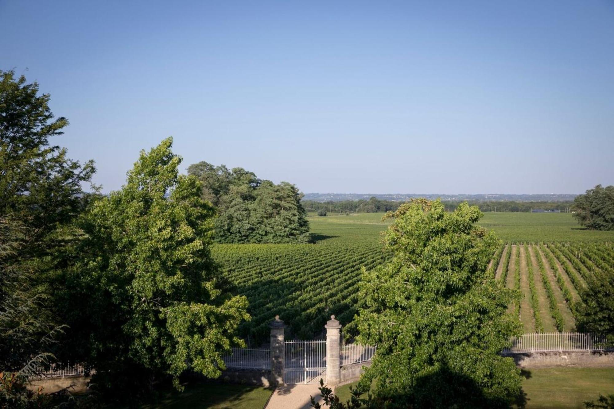 Chateau Malescasse Lamarque Εξωτερικό φωτογραφία